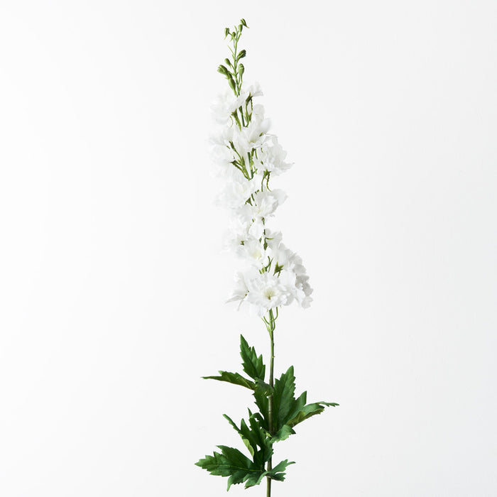 Delphinium Winter White 90cm Pack of 12