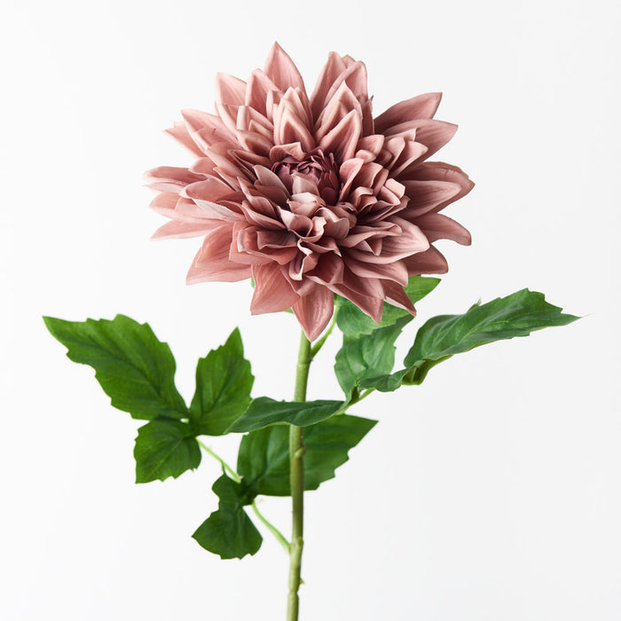 Dhalia Dusty Pink 71cm Pack of 12