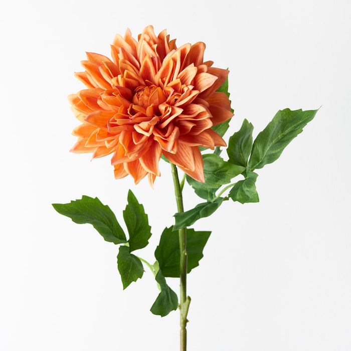 Dhalia Orange 71cm Pack of 12