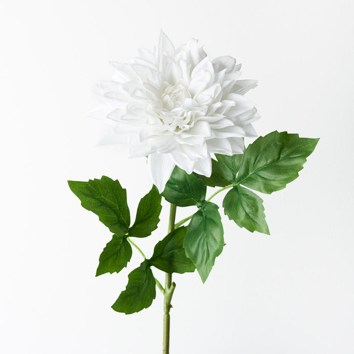 Dhalia White 71cm Pack of 12