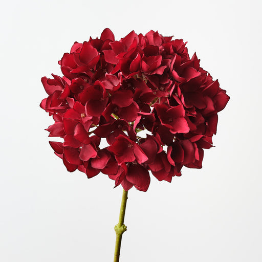 Hydrangea Dark Red 47cm Set of 12