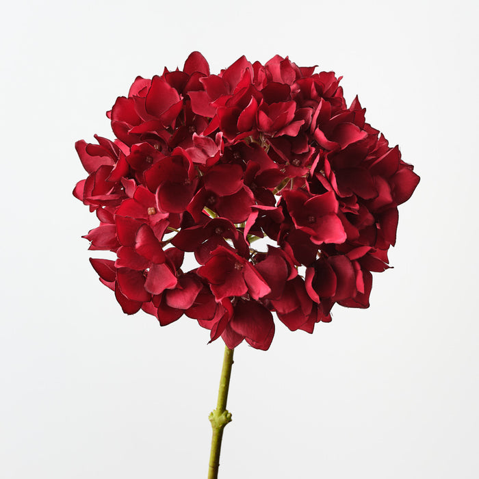 Hydrangea Dark Red 47cm Set of 12