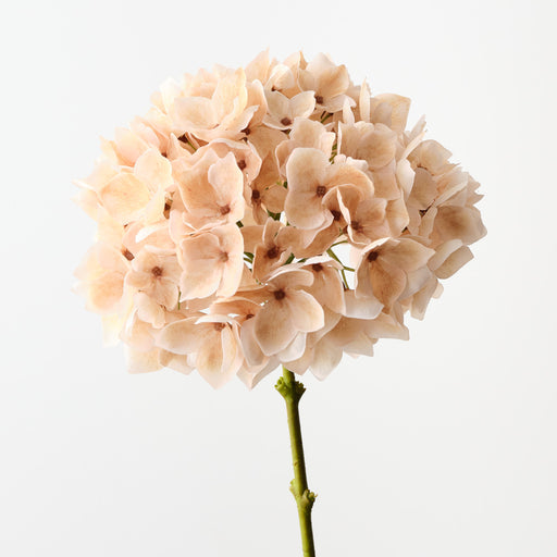 Hydrangea Ivory 47cm Set of 12