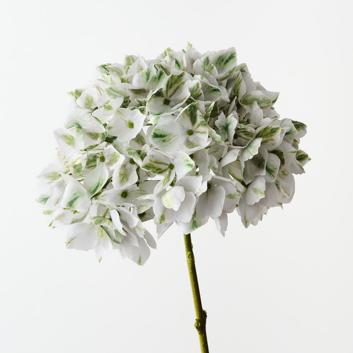 Hydrangea White Green 47cm Set of 12