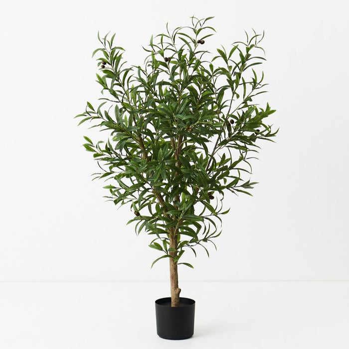 Olive Tree Green 120cm