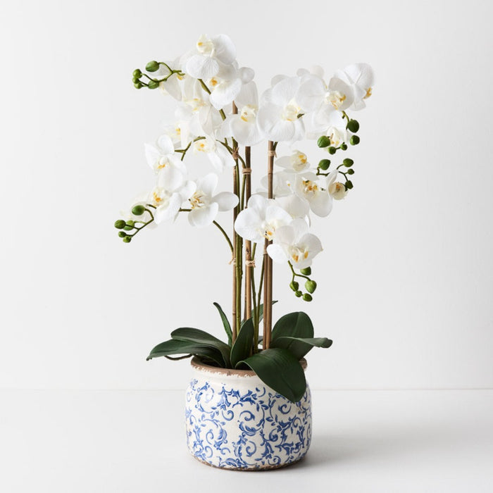 Orchid Phalaenopsis in Scarla Pot 58cm