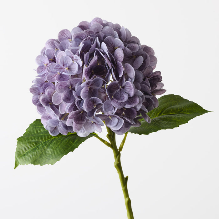 Hydrangea Lavender 49cm Pack of 12