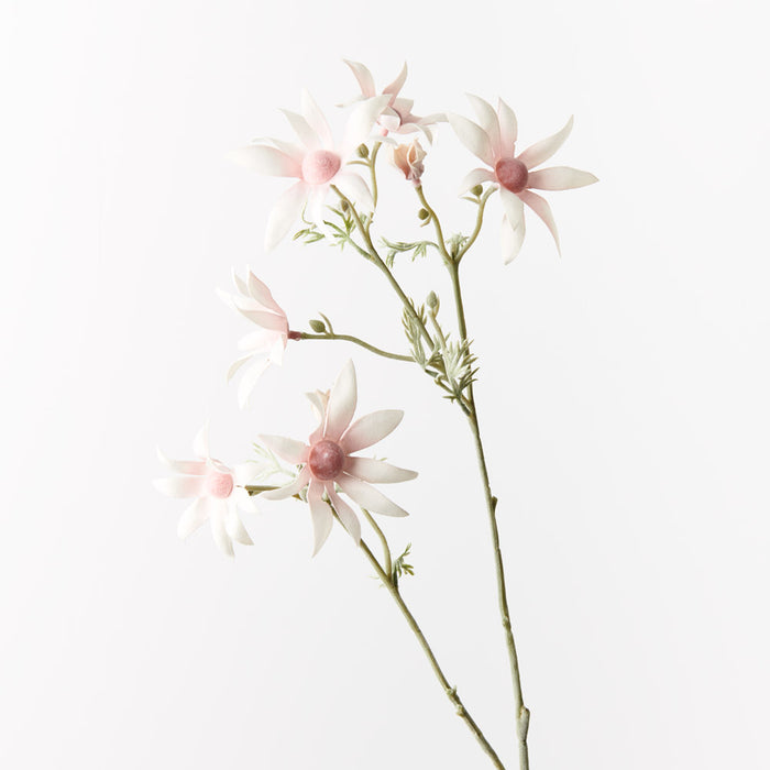 Flannel Flower Spray Light Pink 78cm - Pack of 12