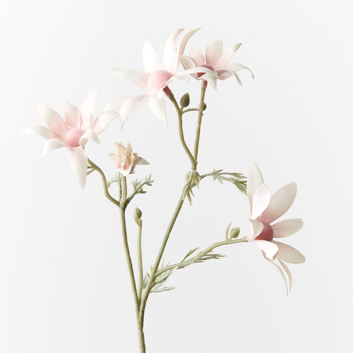 Flannel Flower Pick Light Pink 35cm - Pack of 24