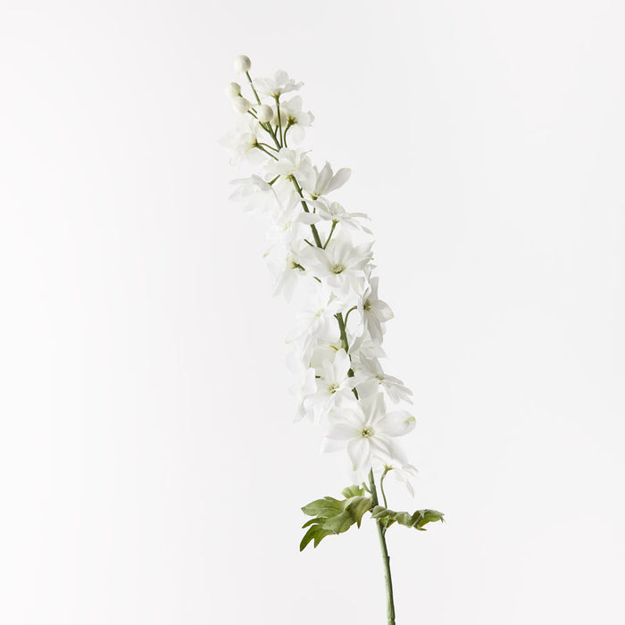 Delphinium White 90cm - Pack of 12