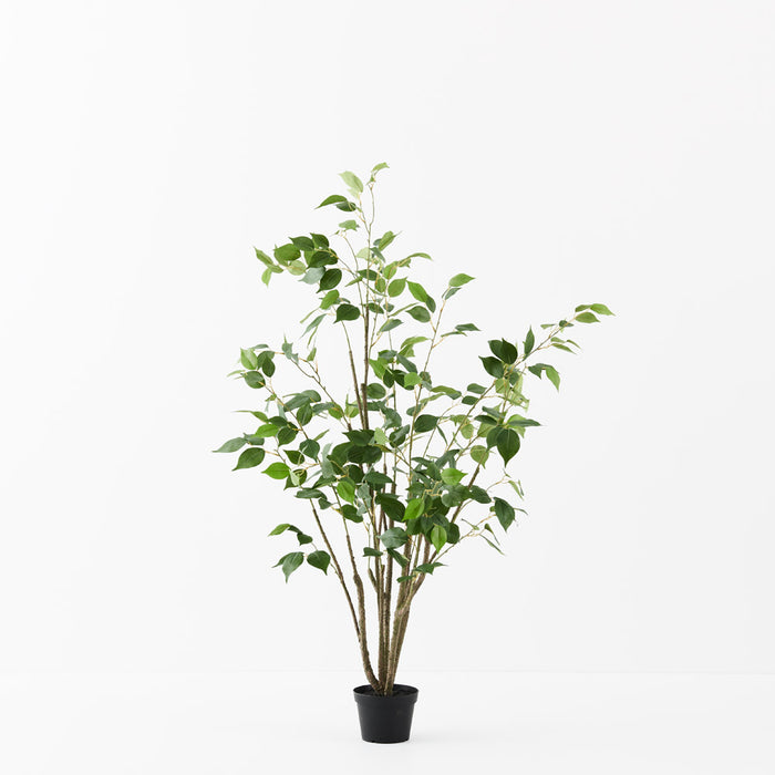 Ficus Tree Green 120cm - Pack of 2