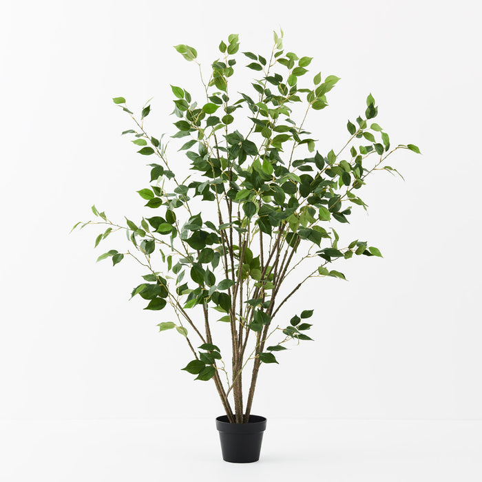 Ficus Tree Green 150cm - Pack of 2