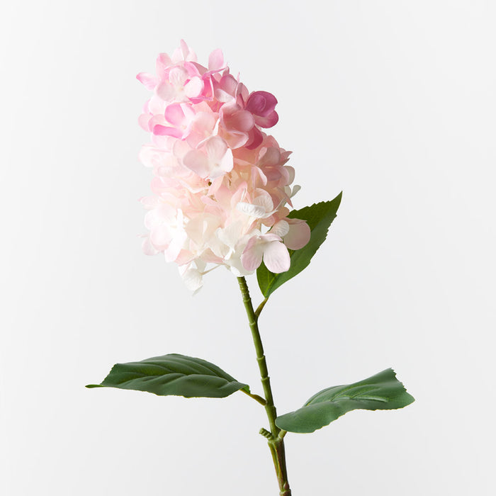 Hydrangea Cone Pink 72cm - Pack of 12