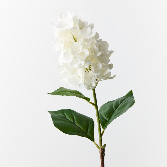 Hydrangea Cone White 72cm - Pack of 12