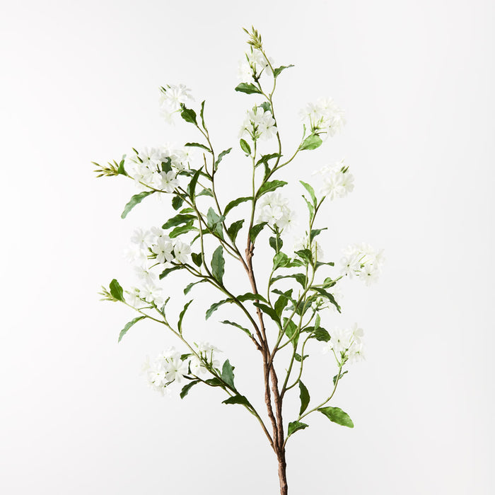 Plumbago Spray White 85cm - Pack of 12