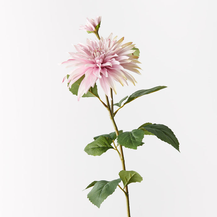 Dahlia Spray Light Pink 74cm - Pack of 12