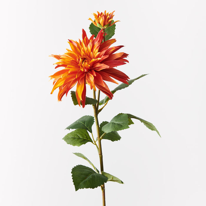 Dahlia Spray Orange 74cm - Pack of 12