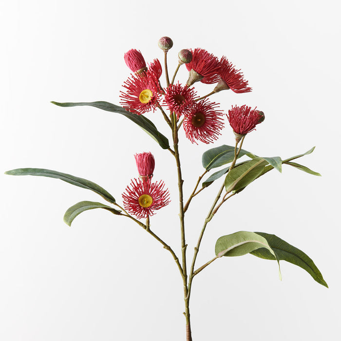 Eucalyptus Flowering Spray Red 76cm - Pack of 12
