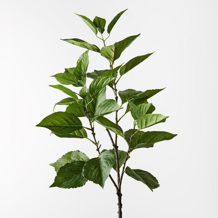 Hydrangea Leaf Spray Green 100cm - Pack of 12