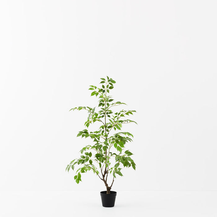 Ficus Tree Green 120cm - Pack of 2