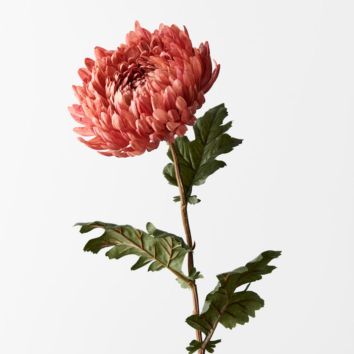 Chrysanthemum Coral 76cm - Pack of 12