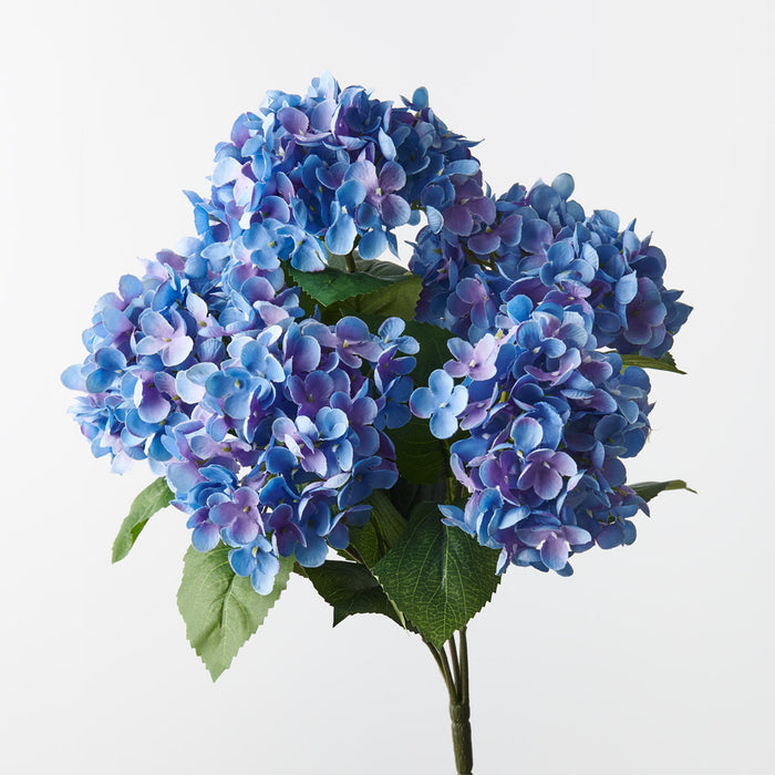 Hydrangea Bush Royal Blue 46cm - Pack of 12