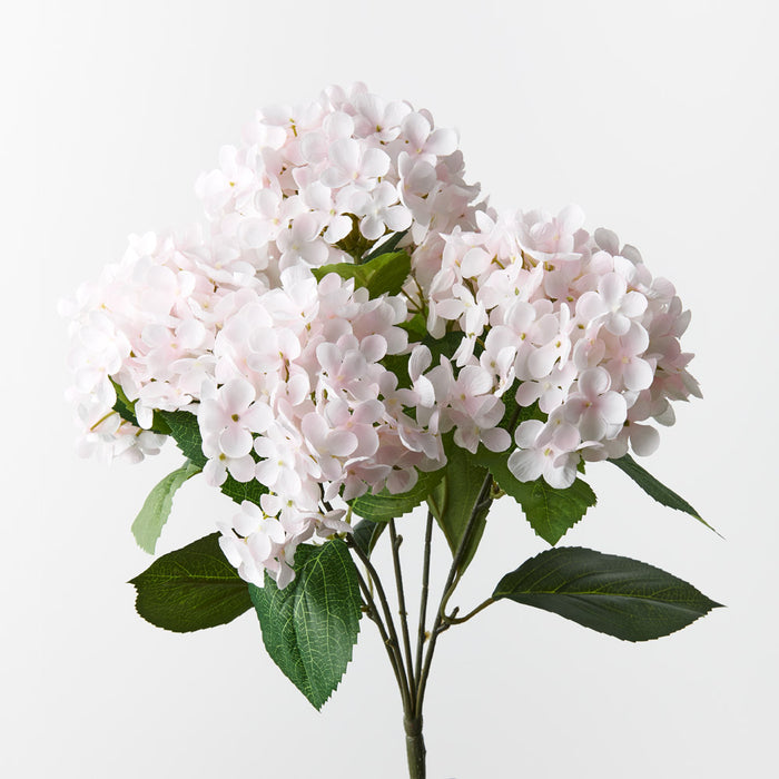 Hydrangea Bush Soft Pink 46cm - Pack of 12