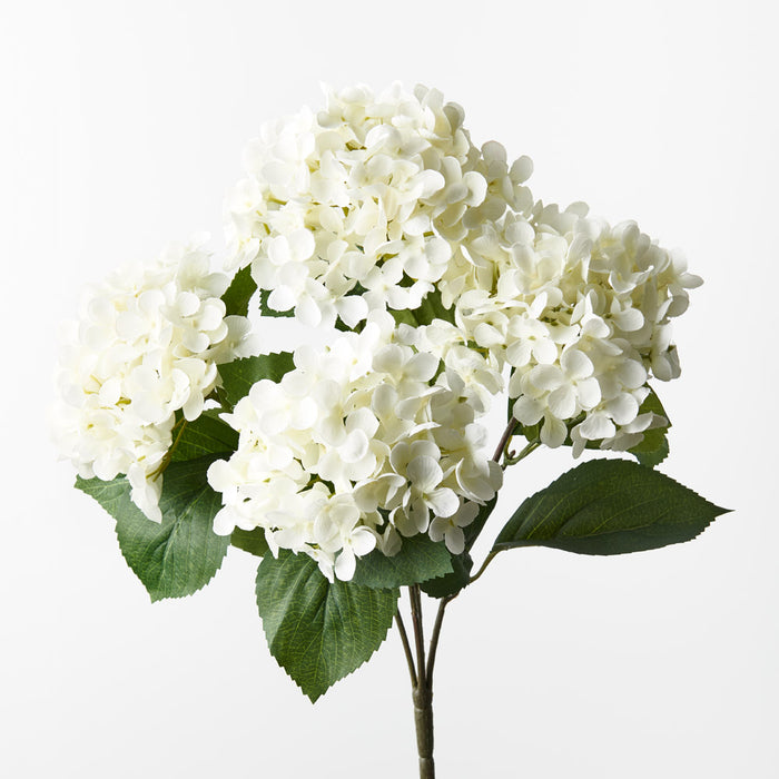 Hydrangea Bush White 46cm - Pack of 12