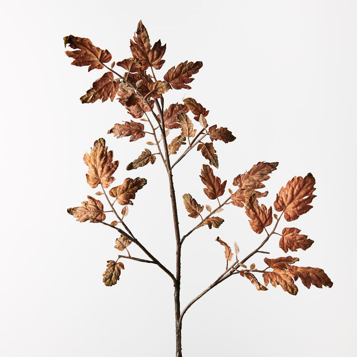 Perilla Leaf Spray Brown 89cm - Pack of 12