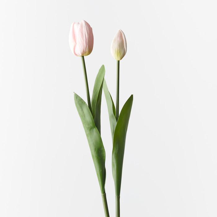 Tulip Bud & Bloom Light Pink 49cm 2 Pieces - Pack of 12