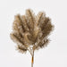 Pine Glitter Bouquet Champagne 30cm Pack of 12