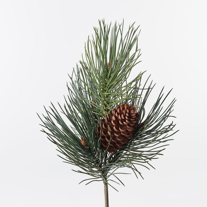 Needle Pine Cone Pick Green 36cm Pack of 12