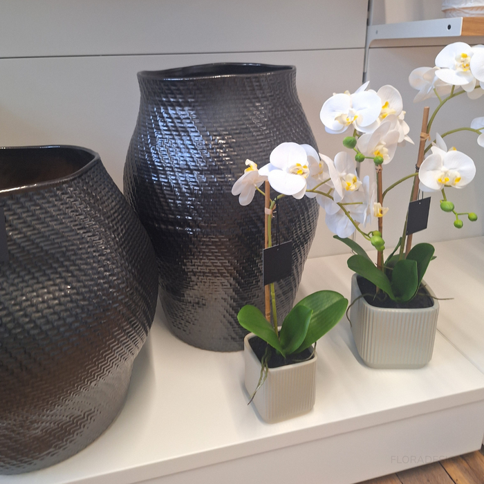 Orchid Phalaenopsis in Silo Pot 45cm Set of 2