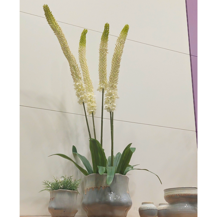 Lily Foxtail White 84cm Set of 12