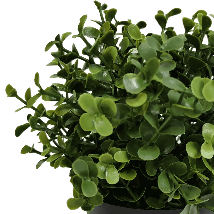 Small Potted Artificial Buxus Plant UV Resistant 20cm Set of 2