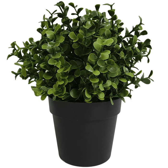 Small Potted Artificial Buxus Plant UV Resistant 20cm Set of 2