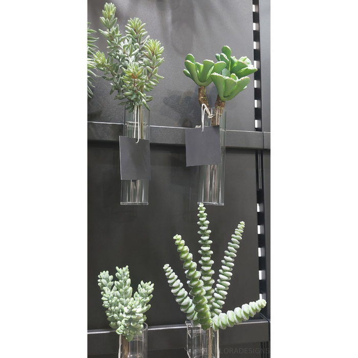 Succulent Cluster Green Grey 19cm Set of 12