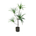 Potted Brazlian Iron Artificial Plant 180cm