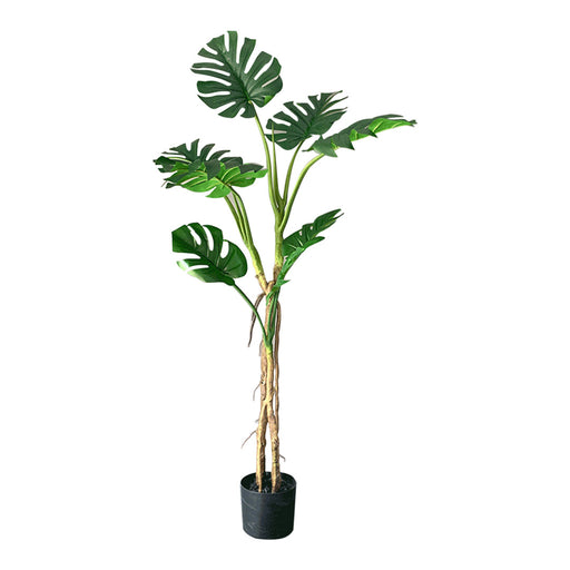 Potted Turtle Back Fern Artificial Plant 160cm