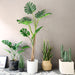Potted Turtle Back Fern Artificial Plant 175cm