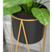 50cm Gold Metal Plant Stand with Black Flower Pot Holder Corner Shelving Rack Indoor Display