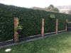 Spring Sensation Hedge Screen Green Wall Panel UV Resistant 100cm x 100cm