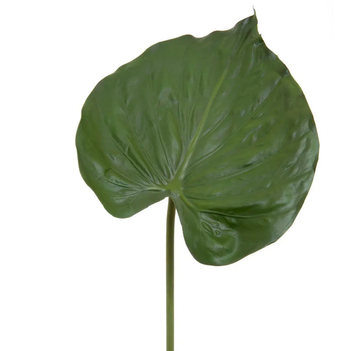 Alocasia Leaf 90cm Pack of 12