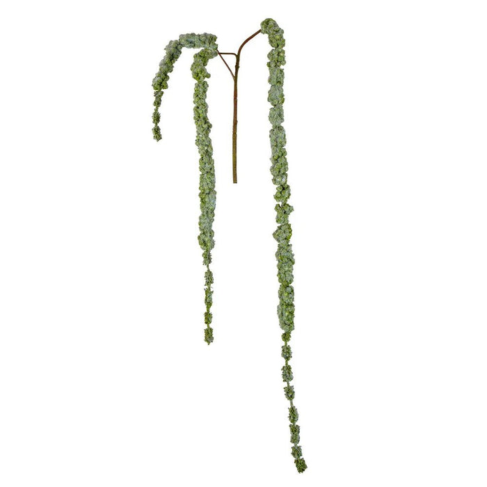 Amaranthus Hanging Spray 145cm Green Pack of 12