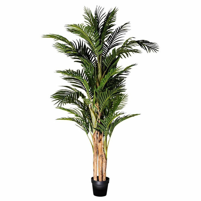 Areca Palm Tree Real Touch 190cm