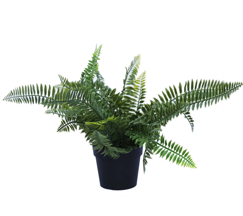 Artificial Fern Plant Dark Green Potted UV Resistant 20cm Set of 2