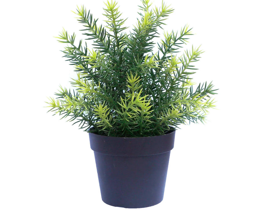 Artificial Native Grass Plant Potted UV Resistant 20cm Set of 2
