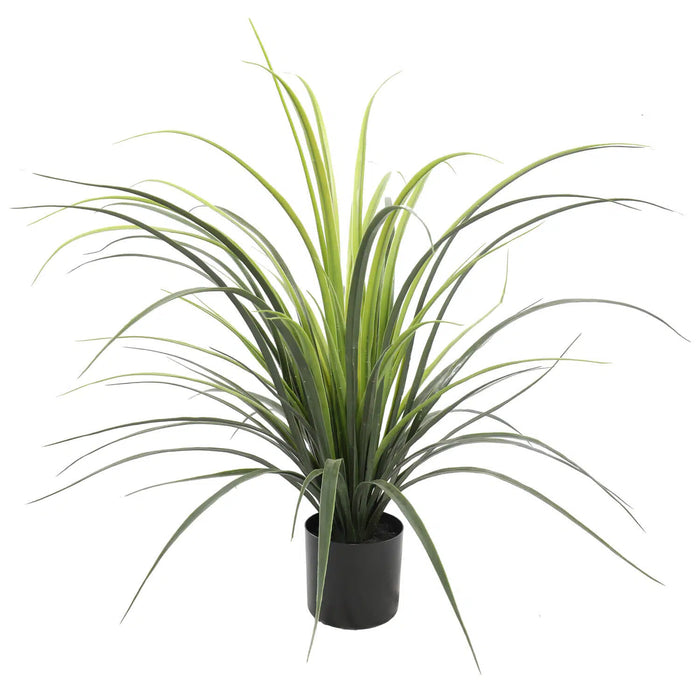 Long Yuca Grass Potted 75cm UV Resistant