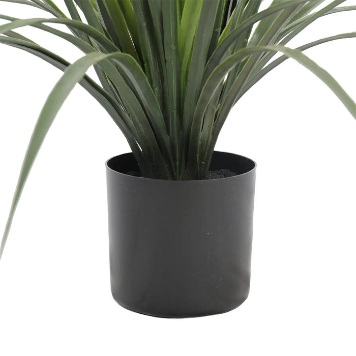 Long Yuca Grass Potted 75cm UV Resistant