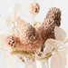 Artificial Banksia Acorn Mix in Vase - Rust